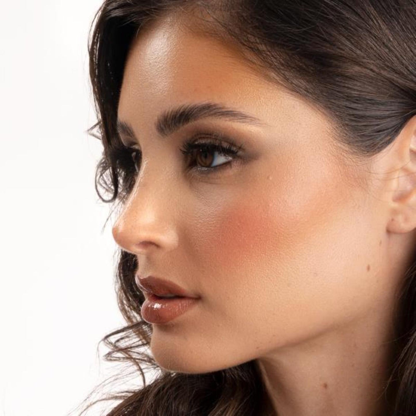 Powder Blusher