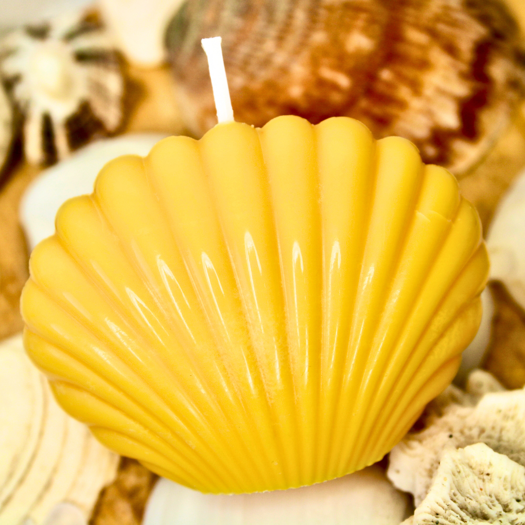 Seashell Bliss Candle
