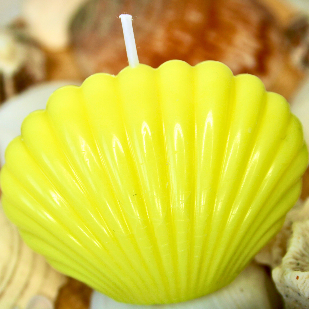 Seashell Bliss Candle