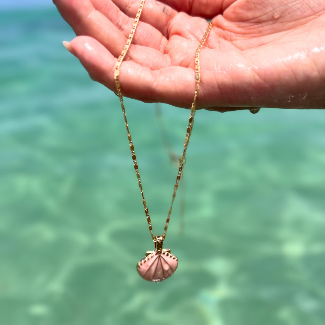 Ocean Treasure Shell Pendant Necklace