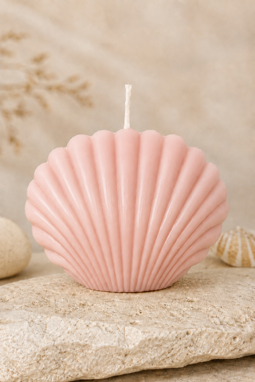Seashell Bliss Sculptural Soy Candle