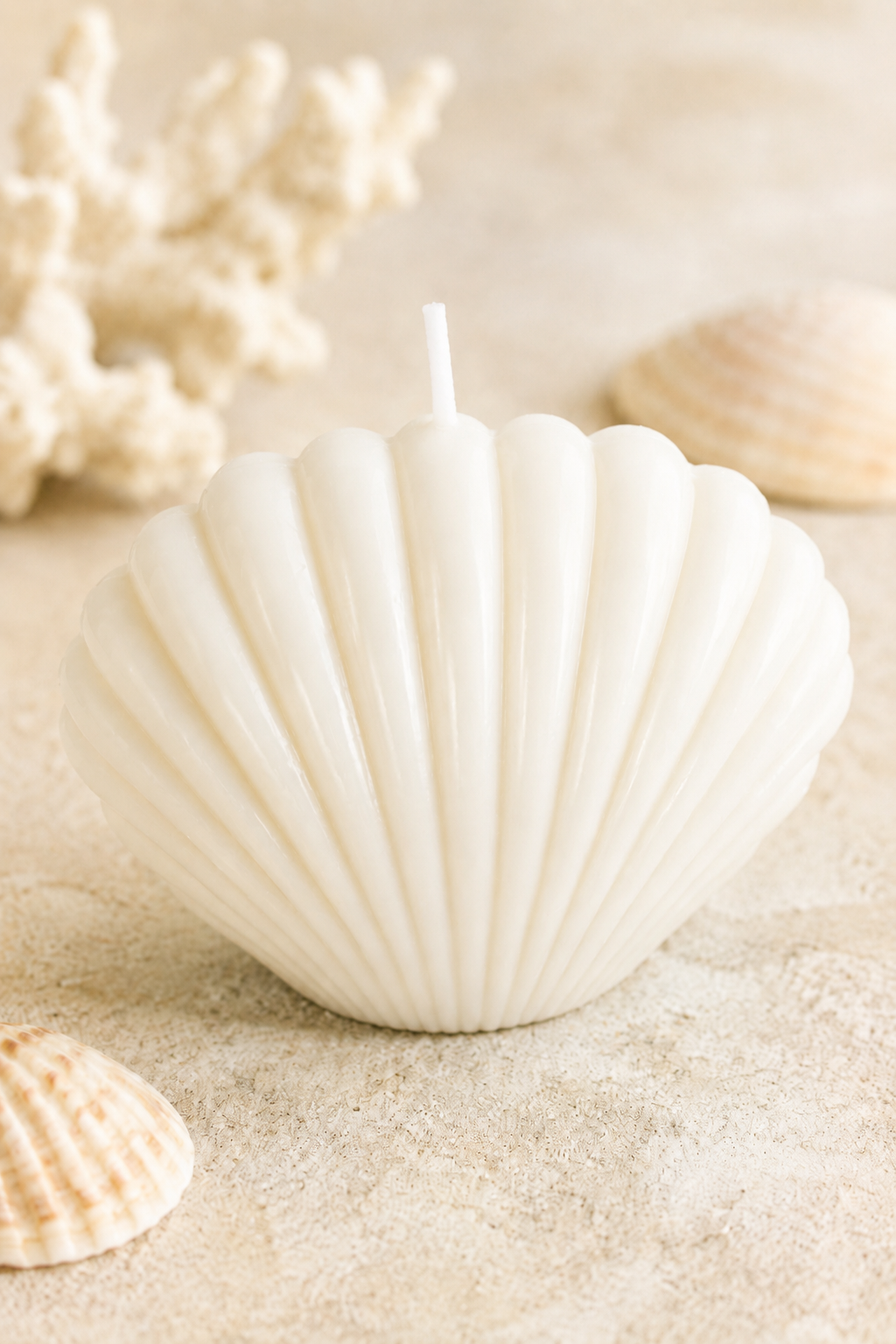 Seashell Bliss Sculptural Soy Candle