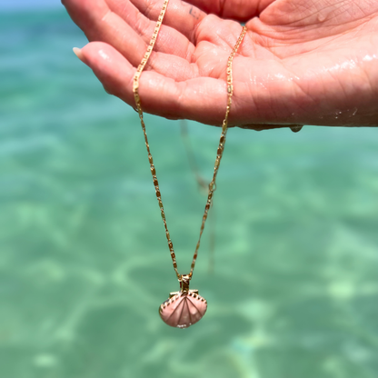 Ocean Treasure Shell Pendant Necklace