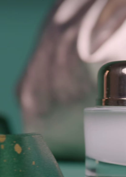 Timeless Glow Gift Set